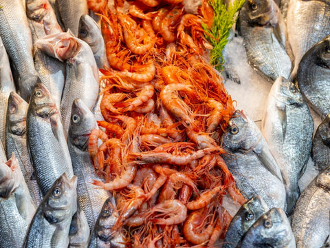 Meat & Seafood collection