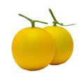 Fresh Dosakai (Yellow Cucumber) – per lb