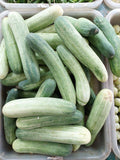 118 Fresh Indian Cucumber – per lb