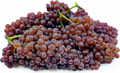 Fresh Red Champagne Grapes – 1 lb Pack