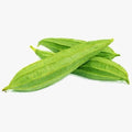 Fresh Chinese Okra (Turia) - per lb