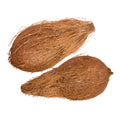 Fresh Puja Coconut (Dry Brown) – each