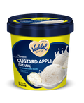 Vadilal Custard Apple ice cream 500ml