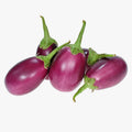 Fresh Indian Eggplant (Baby Brinjal) – per lb