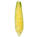 Fresh Sweet Corn – each