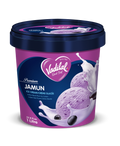 Vadilal Jamun Ice Cream