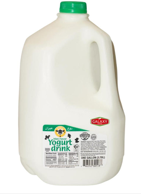 Karoun Mint Yogurt Drink - 1/2 Gallon – Yogurt
