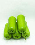Fresh Opo Squash (Dudhi/Lauki) – per lb