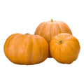 Fresh Yellow Pumpkin - per lb