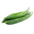 Fresh Snake Gourd (Padwal) – per lb