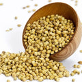 Saral Coriander Seeds - 7oz – Spices