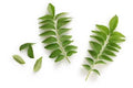 Curry Leaves /Pcs