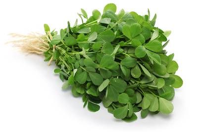 236 Methi Leaves Bunch - each