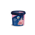 Vadilal Falooda Kulfi ice cream 100ml