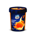 Vadilal Alphonso Mango ice cream 500ml