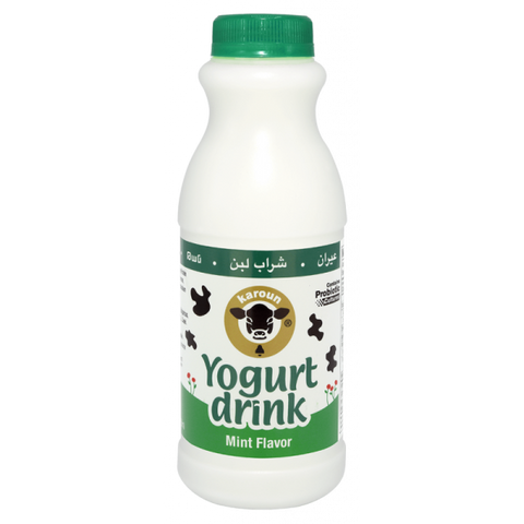 Karoun Mint Yogurt Drink - 16oz – Yogurt