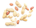 Fresh Raw Peanuts – Nuts & Seeds