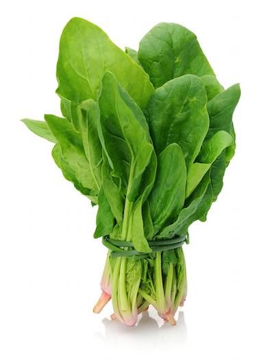 239 Spinach 1Bunch